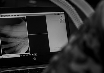 6th SFS showcases joint force interoperability with Army veterinarians