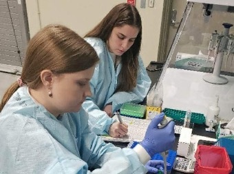Navy Turns to House Flies in Groundbreaking Global Effort to Track Infectious Threats