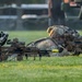 Twilight Tattoo - June 11,2025