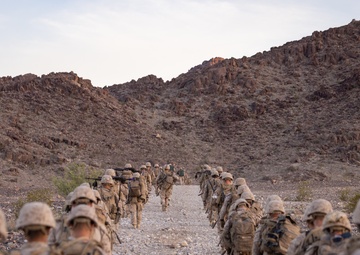 Marines with Marine Forces Reserve Participate in Collective Event at ITX 3-25