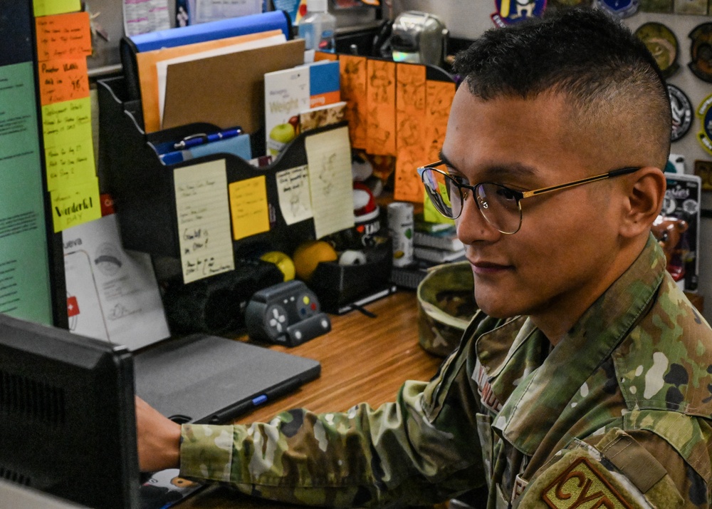 Day in the life of a cyber network operator