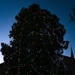 Laughlin Holiday tree lighting event