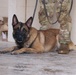 JEMX-25 Concludes: Joint Forces Master Combat Medical Readiness and Field Care Training