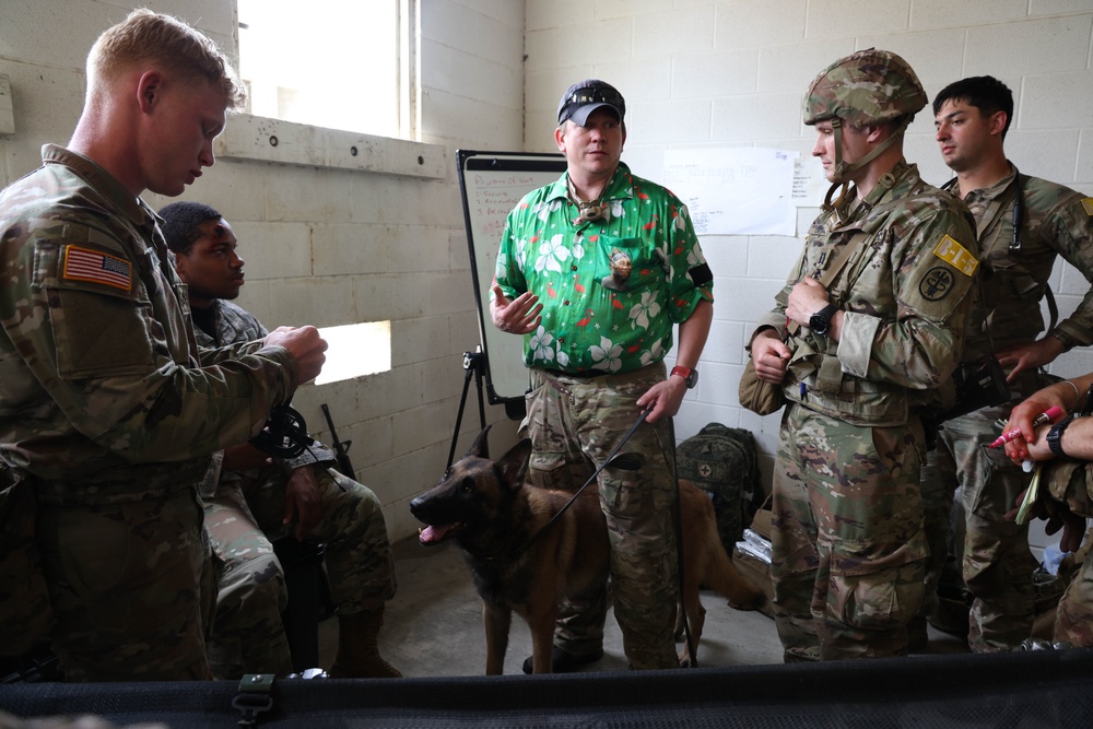 JEMX-25 Concludes: Joint Forces Master Combat Medical Readiness and Field Care Training
