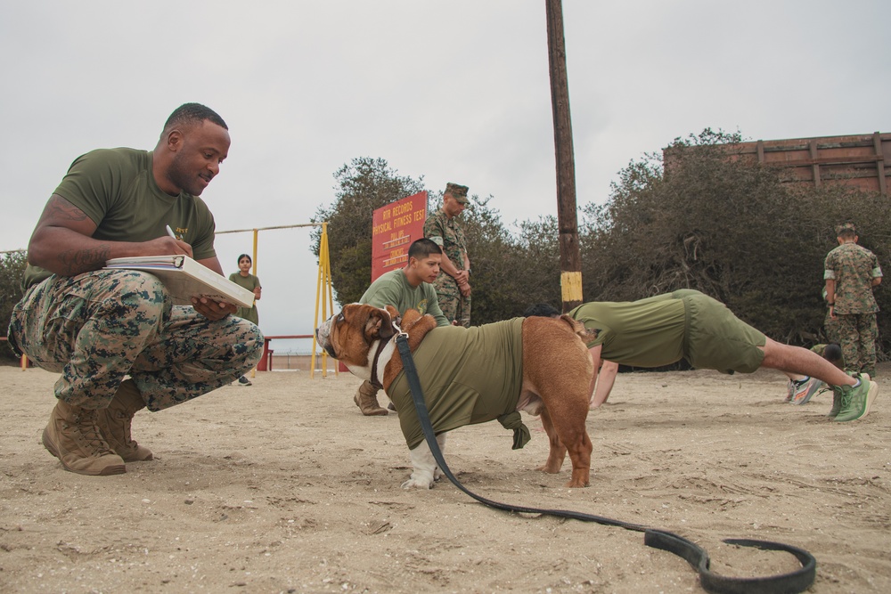 Bruno Runs his PFT