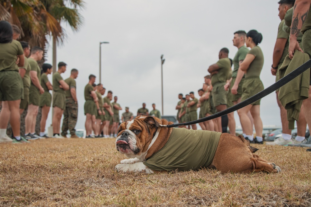 Bruno Runs his PFT