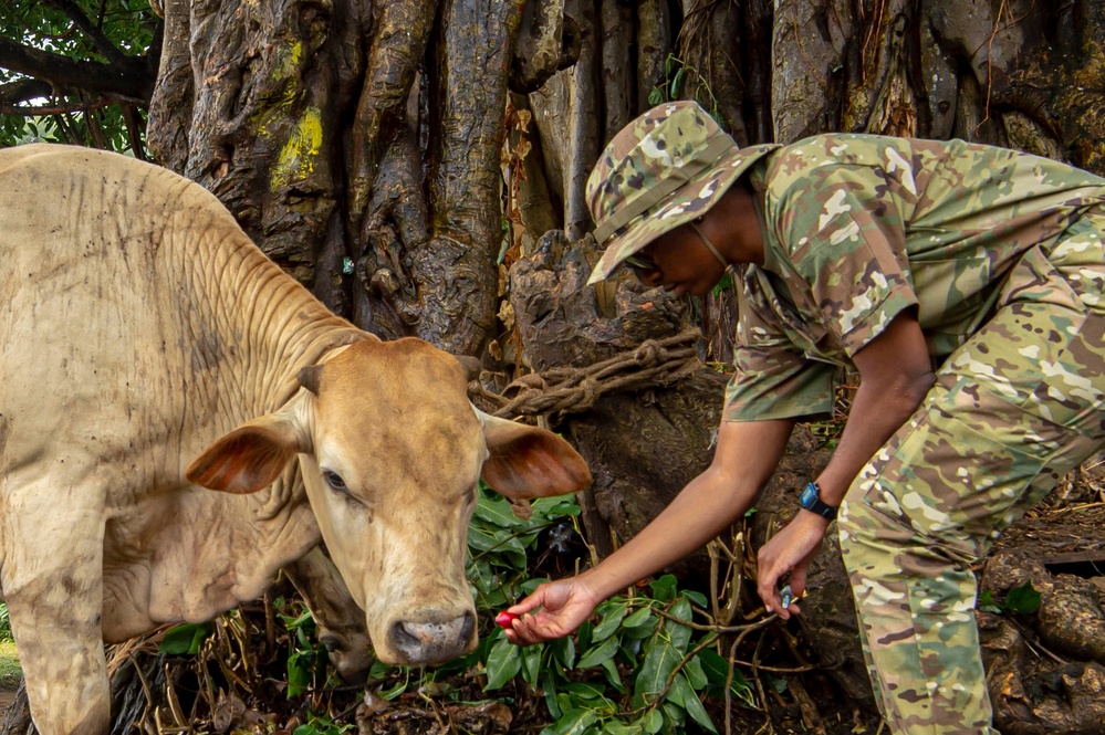 Veterinarians attached to the USNS Comfort provide veterinary services for Grenada