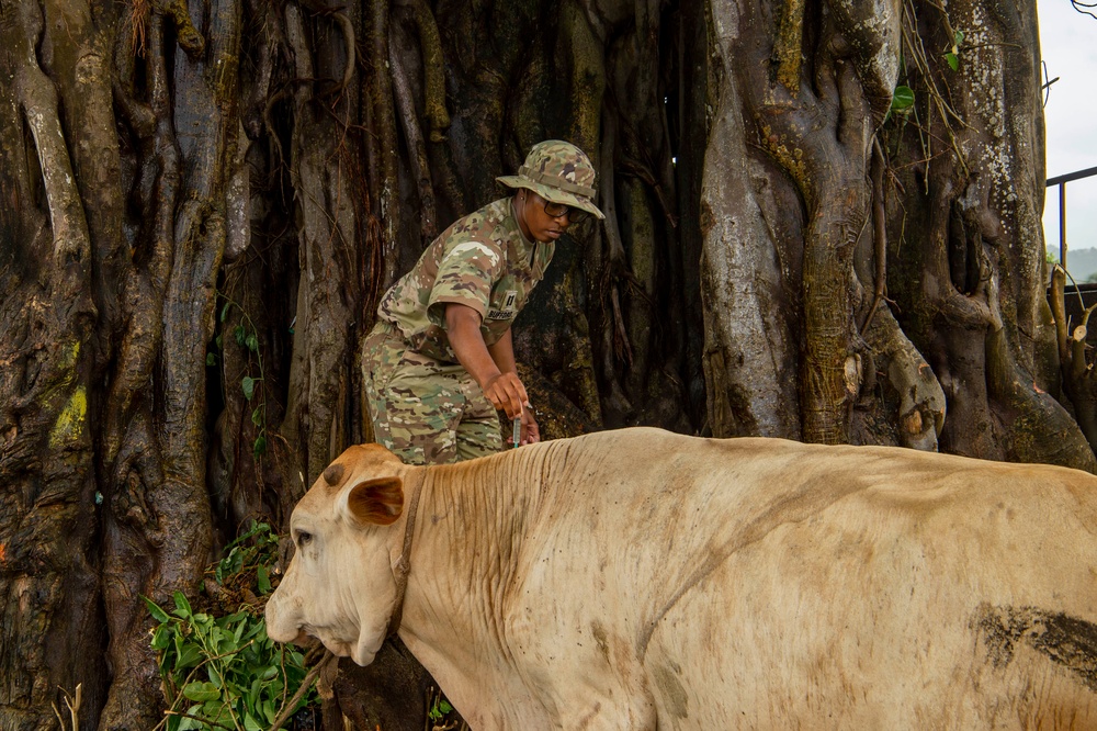 Veterinarians attached to the USNS Comfort provide veterinary services for Grenada