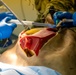 AR-MEDCOM units provide training, medical support during Global Medic, Mojave Falcon 25