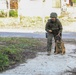 2CR Soldiers conduct CQB training with Spanish Armed forces