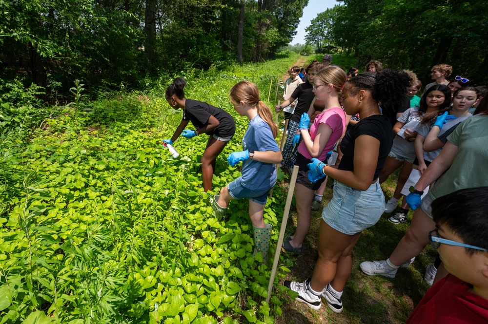Hanscom students learn about invasive weed control