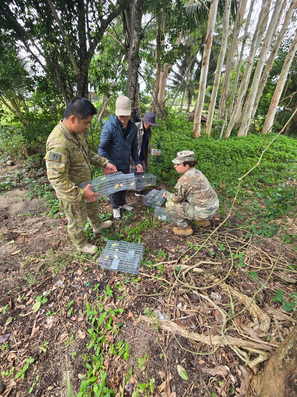 Service members and research staff set up rodent traps during biosurveillance at Talisman Sabre 2025