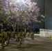 U.S. Marines arrive at federal building to assist California National Guard