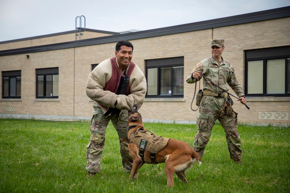 10th Mountain Division Military Police celebrate Flag Day with K-9 Demonstration
