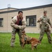 10th Mountain Division Military Police celebrate Flag Day with K-9 Demonstration