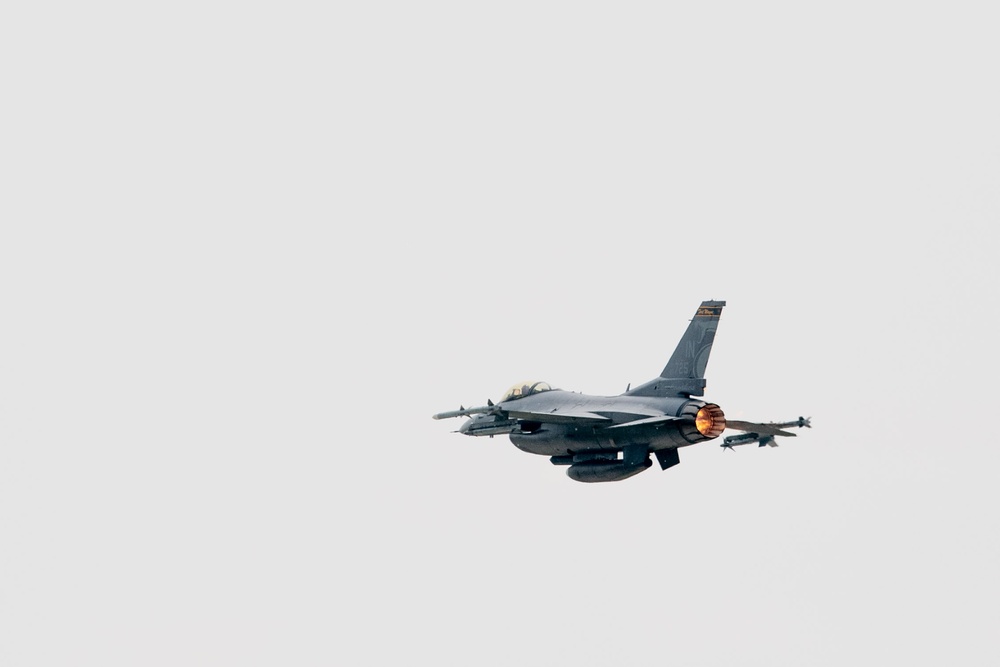 Festus flies final flight before retirement
