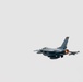 Festus flies final flight before retirement