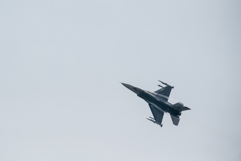 Festus flies final flight before retirement