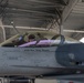 Festus flies final flight before retirement