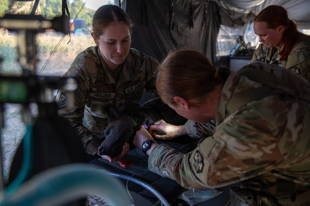 Various medical units hone emergency medicine skills in simulated scenarios