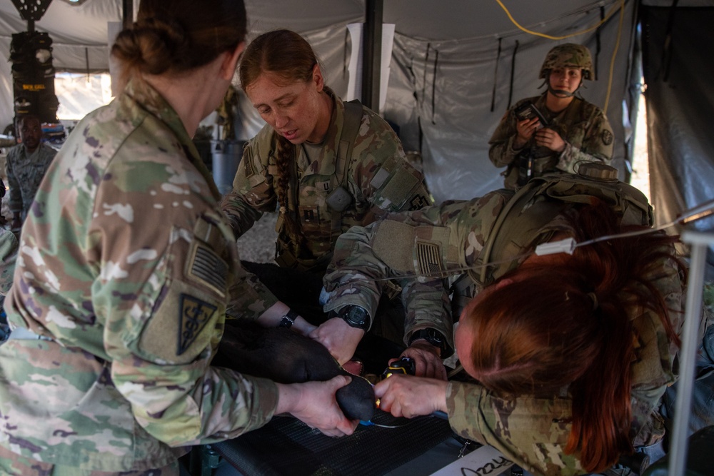 Various medical units hone emergency medicine skills in simulated scenarios