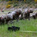 I Corps Best Squad 2025