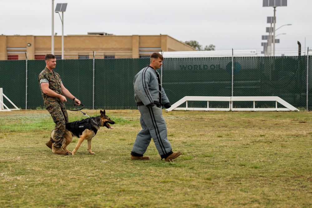 K9 Unit Demonstration for JROTC Cadets