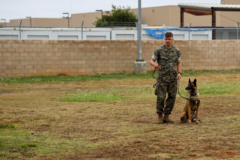 K9 Unit Demonstration for JROTC Cadets