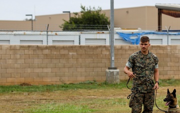 K9 Unit Demonstration for JROTC Cadets