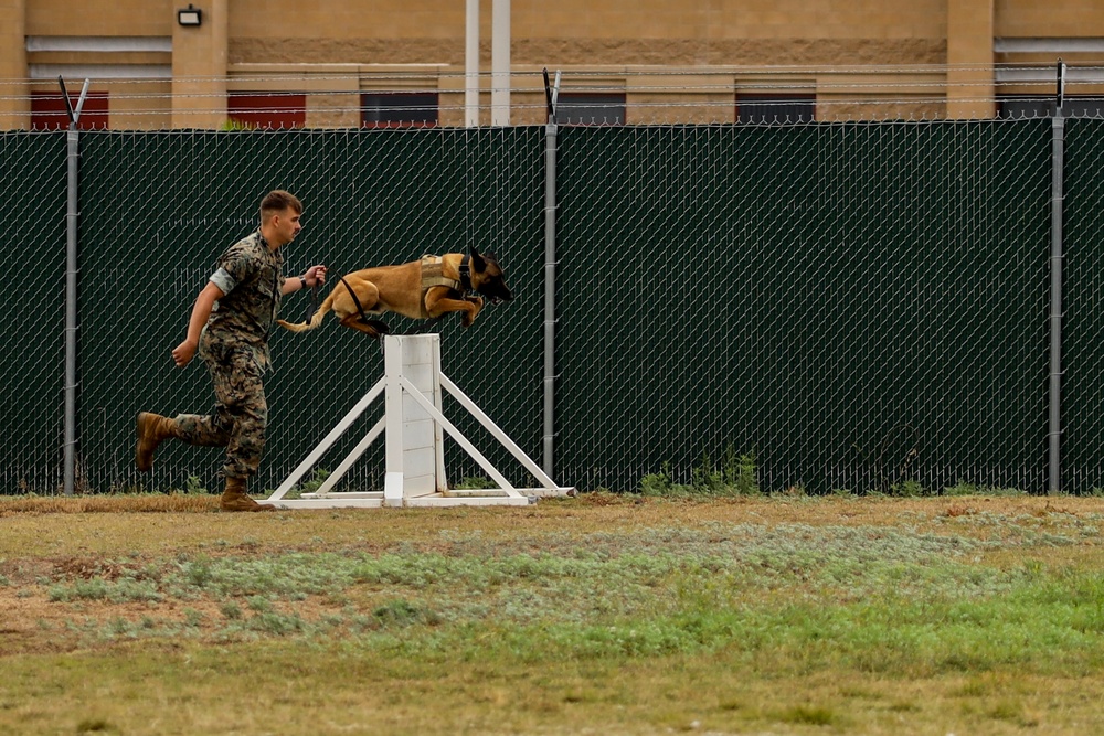 K9 Unit Demonstration for JROTC Cadets