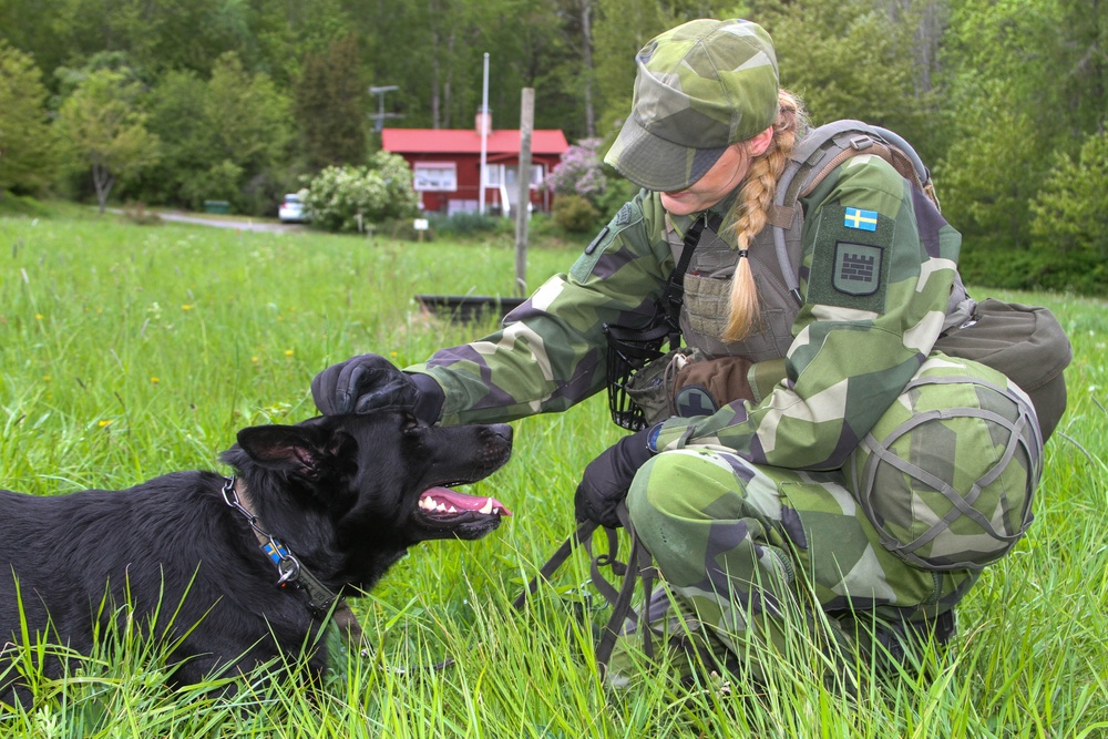 Green Berets and Swedish Home Guard Strengthen Interoperability During Exercise TYR in Stockholm