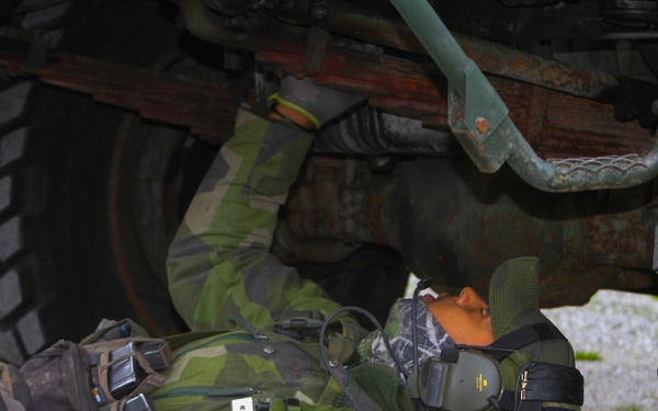 Green Berets and Swedish Home Guard Strengthen Interoperability During Exercise TYR in Stockholm