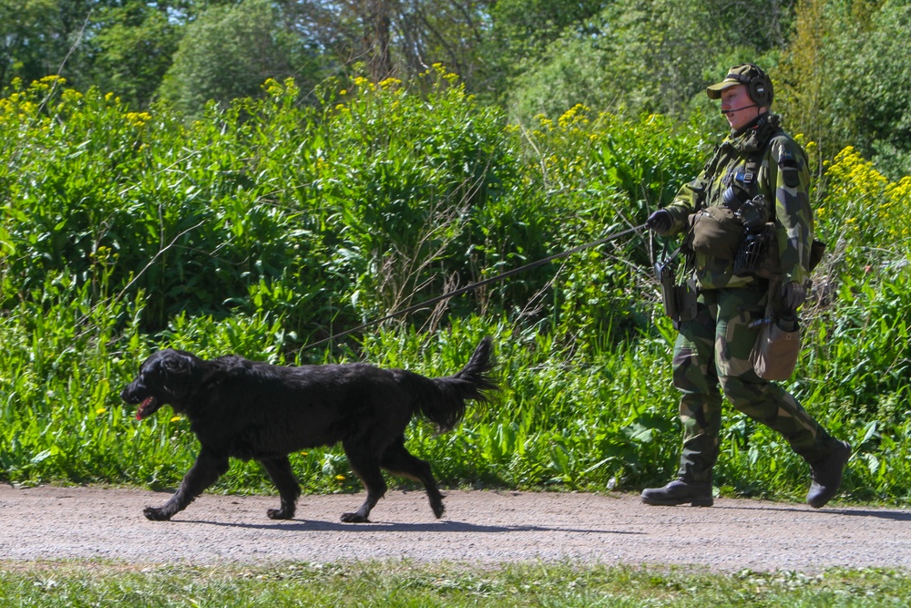 Green Berets and Swedish Home Guard Strengthen Interoperability During Exercise TYR in Stockholm