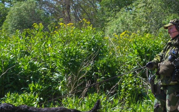 Green Berets and Swedish Home Guard Strengthen Interoperability During Exercise TYR in Stockholm