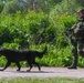 Green Berets and Swedish Home Guard Strengthen Interoperability During Exercise TYR in Stockholm