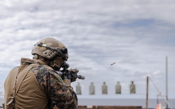 31st MEU | Combat Marksmanship Program