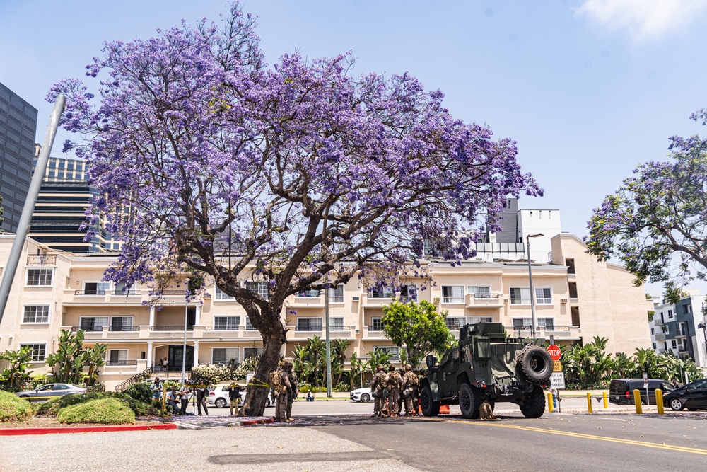 Marines provide protection to the Wilshire federal building