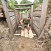 Seabees and Marines Reinforce Trench Systems - BALTOPS 25