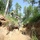 Seabees and Marines Reinforce Trench Systems - BALTOPS 25