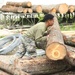 Marines and Latvian Engineers Cut Lumber for Trench Support - BALTOPS 25