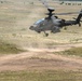 Saber Guardian 25: 12th CAB Live Fire Exercise