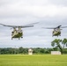 101st Airborne Division Air Assault Demonstration