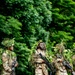 101st Airborne Division Air Assault Demonstration