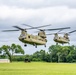101st Airborne Division Air Assault Demonstration