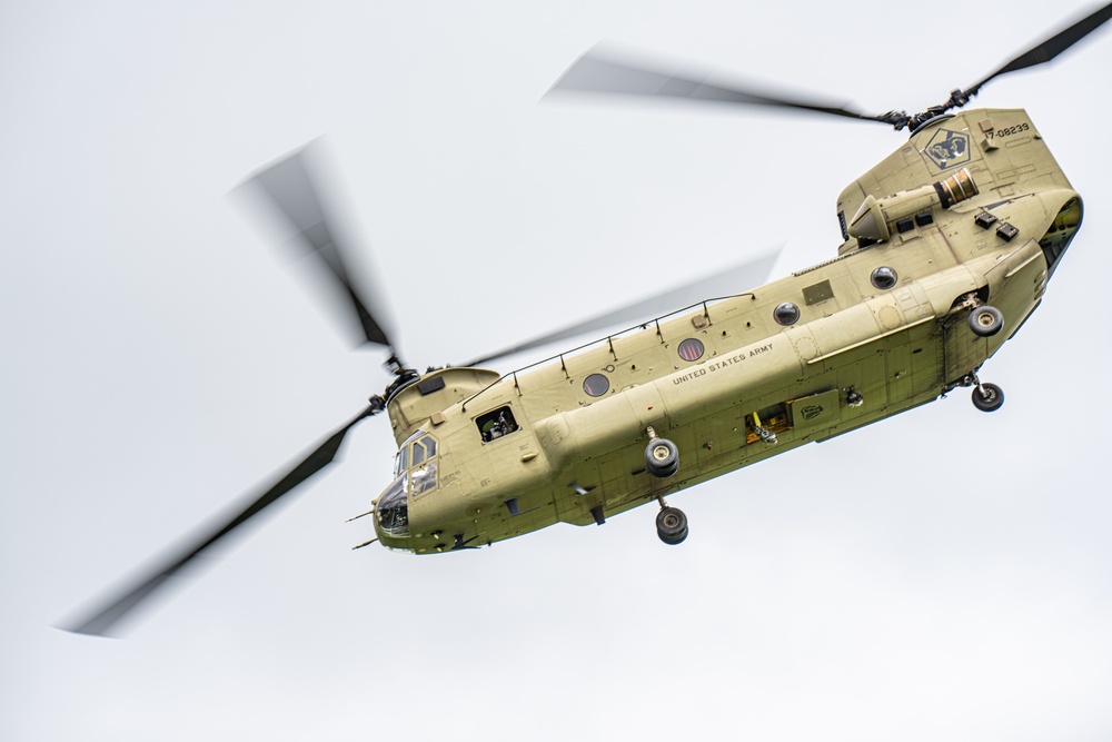 101st Airborne Division Air Assault Demonstration