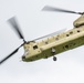 101st Airborne Division Air Assault Demonstration