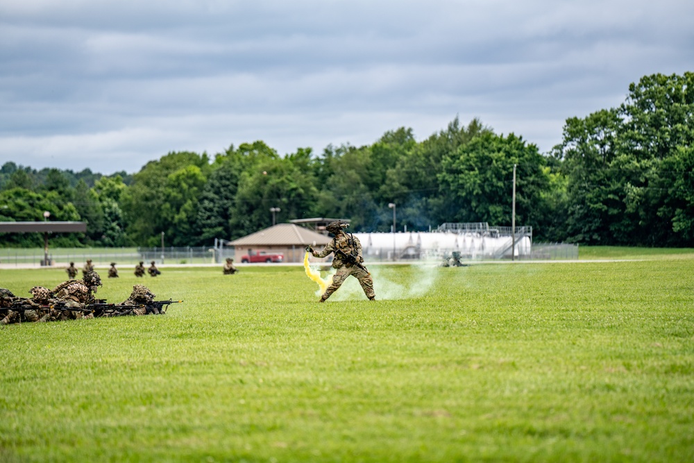 101st Airborne Division Air Assault Demonstration