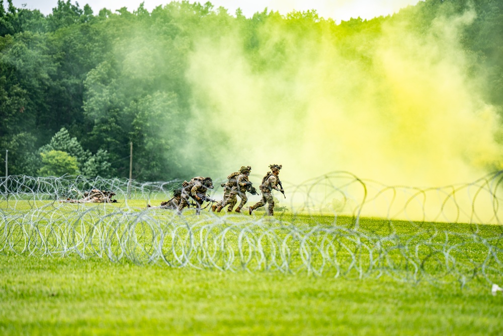 101st Airborne Division Air Assault Demonstration