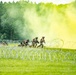 101st Airborne Division Air Assault Demonstration