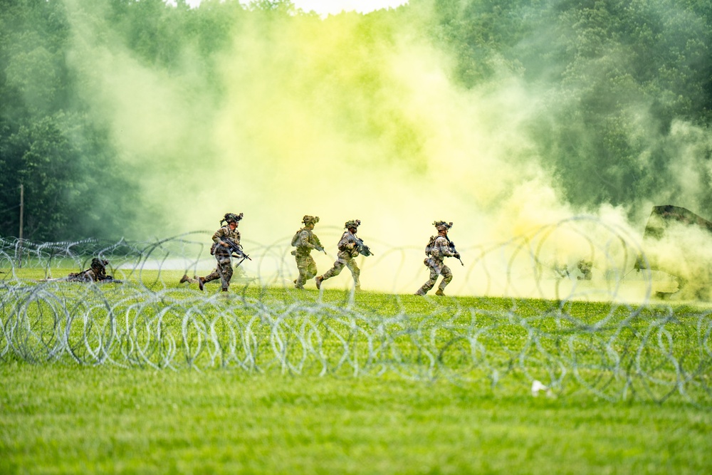 101st Airborne Division Air Assault Demonstration